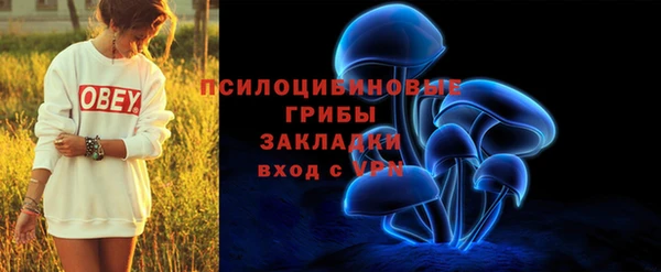 индика Покровск