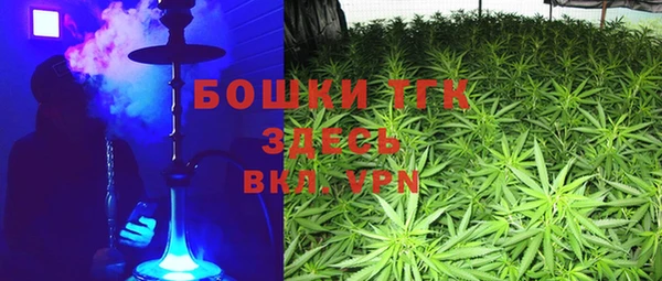 индика Покровск